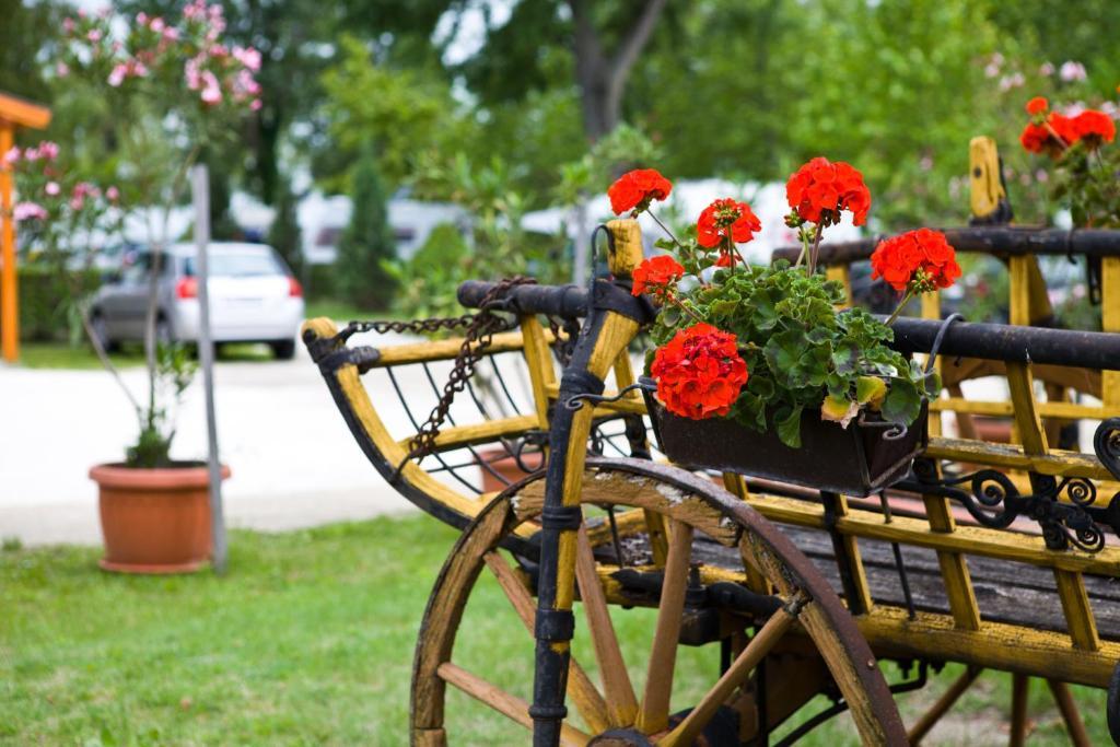 Badacsonytördemic Balaton Eldorado Camping酒店 外观 照片