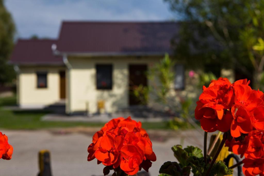 Badacsonytördemic Balaton Eldorado Camping酒店 外观 照片